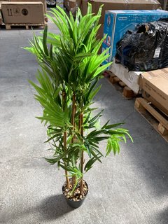 SMART GARDEN ARTIFICIAL 120CM BAMBOO PLANT IN POT: LOCATION - AR11