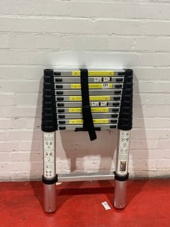 TELESCOPIC LADDER