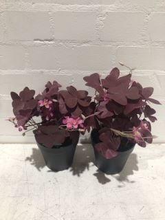 QTY OF ITEMS INCLUDING LEAF FAKE FLOWERS IN A POT