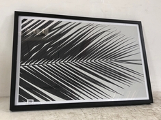 MONOCHROME PALM FRAMED ART