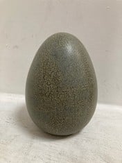 12 X STONE THE CROWS LARGE EGG - TOTAL RRP £228