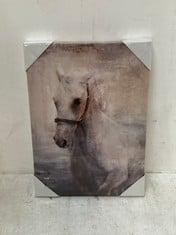 5 X HORSE CANVAS ART 30 X 42 X 2.7 CM