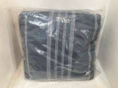 2X TOLUCA JUMBO CUSHION IN BLUE - RRP £86