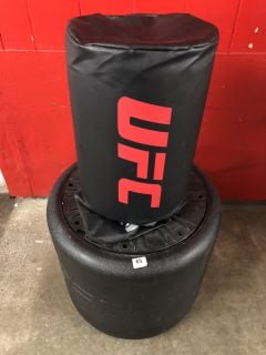 UFC PRACTICE PUNCH BAG