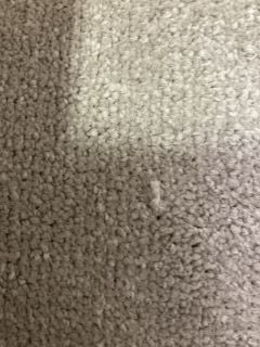 COARSE LIGHT BROWN CARPET 5M (COLLECTION ONLY)