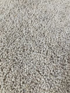 RIVERSIDE TWIST STONE COLOURED CARPET 4M LENGTH (COLLECTION ONLY)