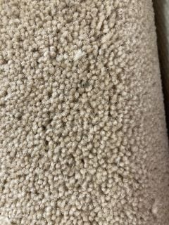 TUDOR TWIST CLASSIC CHICKPEA COLOURED CARPET 5M LENGTH (COLLECTION ONLY)