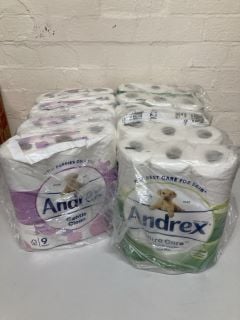 2 X ANDREX TOILET ROLLS