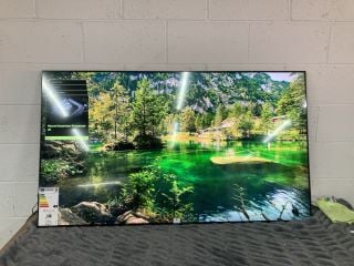 SAMSUNG 65" TV MODEL QE65QN80CAT (WITH POWER LEAD, NO STAND, NO REMOTE, NO BOX, DISPLAY FAULT)