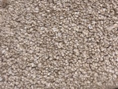 ROLLED CARPET APPROX 5 X 3M IN ROPE (COLLECTION ONLY)