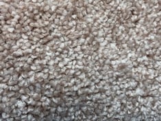 ROLLED CARPET APPROX 4.7 X 4M IN GREY (COLLECTION ONLY)