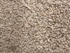 ROLLED CARPET APPROX 3 X 5M IN ROPE (COLLECTION ONLY)