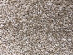 ROLLED CARPET APPROX 3.3 X 4M IN AUTUMN GLOW (COLLECTION ONLY)