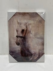 6 X HORSE CANVAS ART 30 X 42 X 2.7CM (BQF2)