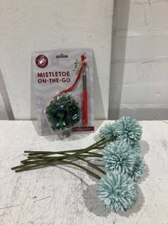 QTY OF ITEMS INCLUDING MISTLETOE ON THE GO