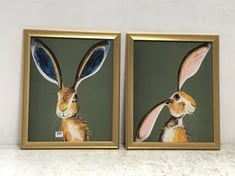 JOHN LEWIS MARLEY HF 2PCS FRAMED RABBIT PRINTS