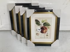 JOHN LEWIS SET OF 4 FRUIT PRINTS - WITH FRAME IN BLACK