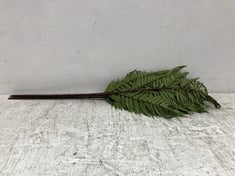 36 X STONE THE CROWS LIGHT GREEN FERN BRANCH - HEIGHT 99CM - TOTAL RRP £180