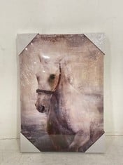 10 X 'HORSE' CANVAS ART PRINTS - SIZE 30 X 42 X 2.7CM