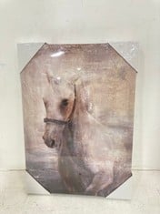 10 X 'HORSE' CANVAS ART PRINTS - SIZE 30 X 42 X 2.7CM