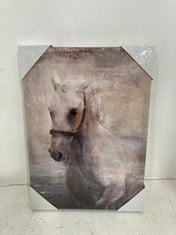 10 X 'HORSE' CANVAS ART PRINTS - SIZE 30 X 42 X 2.7CM