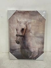 10 X 'HORSE' CANVAS ART PRINTS - SIZE 30 X 42 X 2.7CM