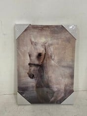 10 X 'HORSE' CANVAS ART PRINTS - SIZE 30 X 42 X 2.7CM