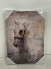 10 X 'HORSE' CANVAS ART PRINTS - SIZE 30 X 42 X 2.7CM