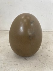 36 X STONE THE CROWS SMALL EGG - STONE - HEIGHT 13CM - TOTAL RRP £180