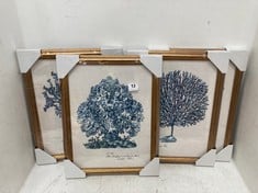 JOHN LEWIS MELISSA WANG ' SEA CORAL STUDY ' FRAMED PRINTS - SET OF 4 - RRP £160