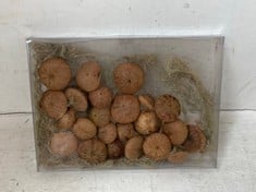 30 X STONE THE CROWS BOX OF ACORN FRUITS - LNG 27CM - TOTAL RRP £300