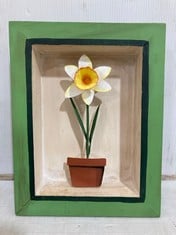 40 X STONE THE CROWS SINGLE NARCISSUS SHADOW BOX - HEIGHT 24CM - TOTAL RRP £960