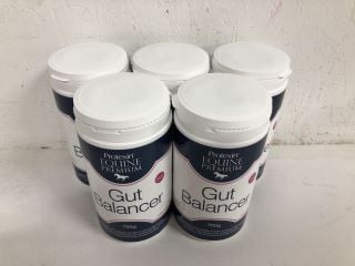 5 X PROTEXIN EQUINE PREMIUM GUT BALANCER 700G 8/24