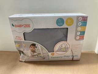 BABYZEE SENSORY PLAY GYM: LOCATION - AR16