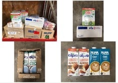 QUANTITY OF ASSORTED MILK REPLACEMENT ITEMS TO INCLUDE ALPRO NO SUGARS NUTTY ALMOND SOME ITEMS MAY BE PAST BBD - COLLECTION ONLY - LOCATION RIGHT RACK