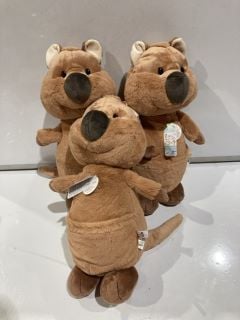 QTY OF QUOKKA QUOKKA-MOLA STUFFED TOY