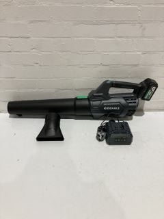 1 X DENALI 20 V BL LEAF BLOWER KIT