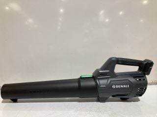 DENALI 20V LEAF BLOWER KIT