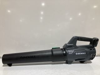 DENALI 20V LEAF BLOWER KIT