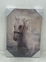 18 X HORSE CANVAS ART PRINT 42X30CM