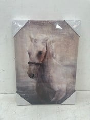 18 X HORSE CANVAS ART PRINT 42X30CM