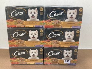 6 X BOXES OF CESAR DRY DOG FOOD - BBE: MAY 2026: LOCATION - C9