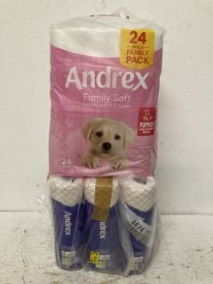 QTY OF TOILET PAPER INC ANDREX