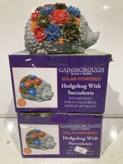 2X GAINSBOROUGH SOLAR POWERED HEDGEHOG WITH SUCCULENTS