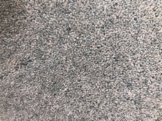 APPROX 10.5 X 5M ROLLED CARPET IN SWEET PEA (COLLECTION ONLY)