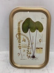 GOLD FRAME BOTANICAL PRINTS SET OF 9