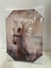 13 X HORSE CANVAS ART 42X30CM