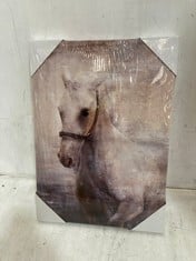 12 X HORSE CANVAS ART 42X30CM