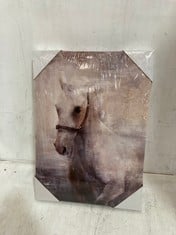 12 X HORSE CANVAS ART 42X30CM