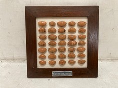 12 X STONE THE CROWS OAK NUTS IN FRAME - SQ 23CM - TOTAL RRP £360